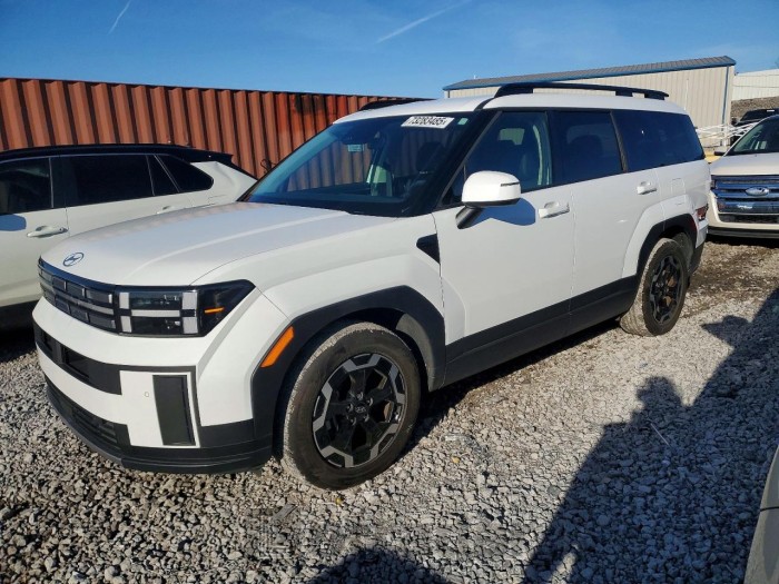 Hyundai Santa fe 2024 VIN 5NMP24GL1RH005592