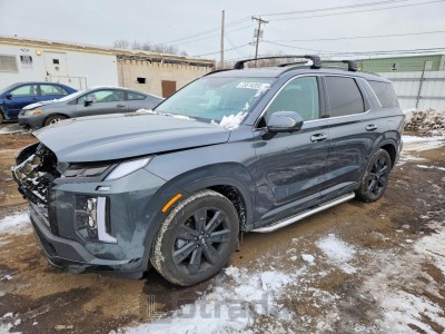 Hyundai Palisade 2025 KM8R3DGE4SU900155