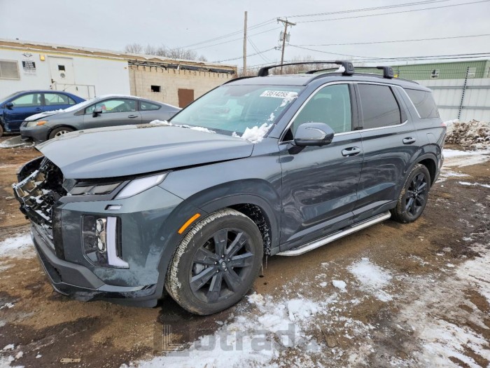 Hyundai Palisade 2025 VIN KM8R3DGE4SU900155