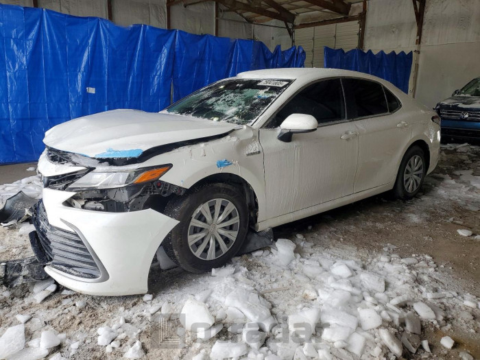 Toyota Camry 2021 VIN 4T1C31AKXMU022589