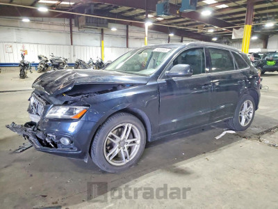 Audi Q5 2013 WA1DGAFP8DA078737