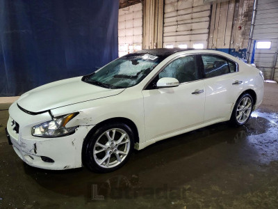 Nissan Maxima 2013 1N4AA5AP8DC847420