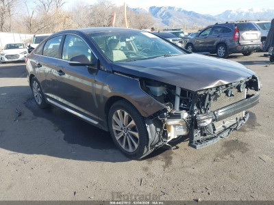 Hyundai Sonata 2016 5NPE34AF3GH415110