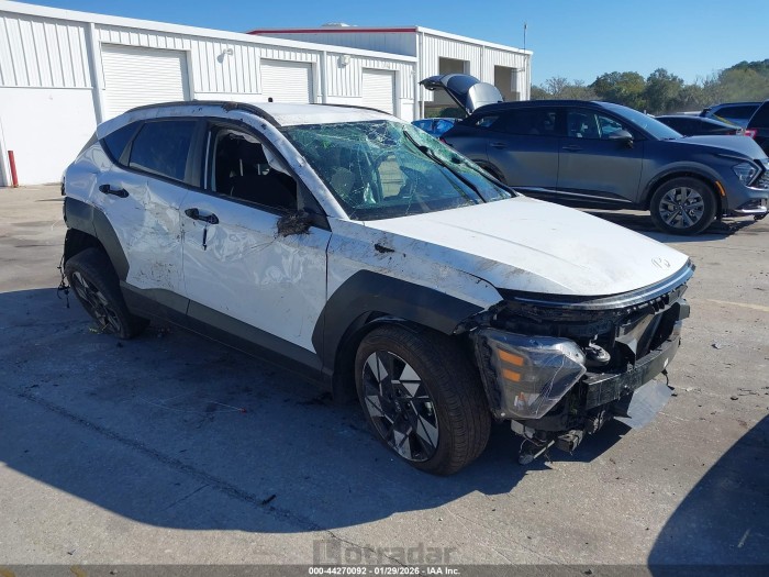 Hyundai Kona 2024 VIN KM8HB3AB9RU110819