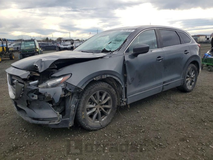 Mazda Cx-9 2018 VIN JM3TCBBY3J0215769