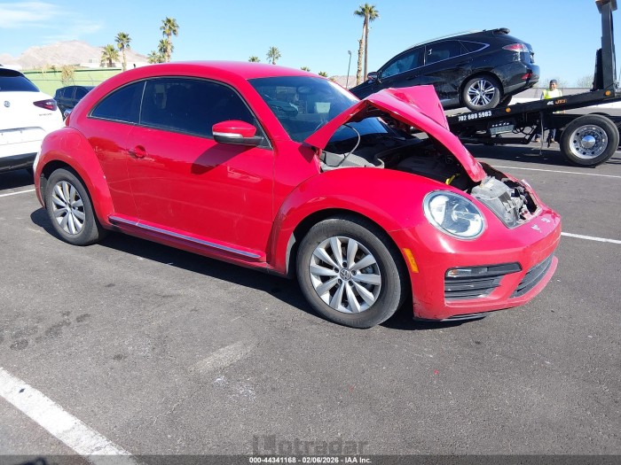 Volkswagen Beetle 2019 VIN 3VWFD7AT3KM716758