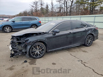 Toyota Camry 2023 4T1S31AK0PU053043