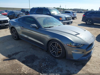 Ford Mustang 2021 1FA6P8TH4M5157342