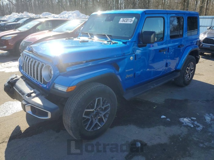 Jeep Wrangler / 2024 VIN 1C4PJXEN9RW113061