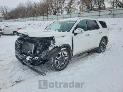 Hyundai Palisade 2024 KM8R5DGE5RU668671