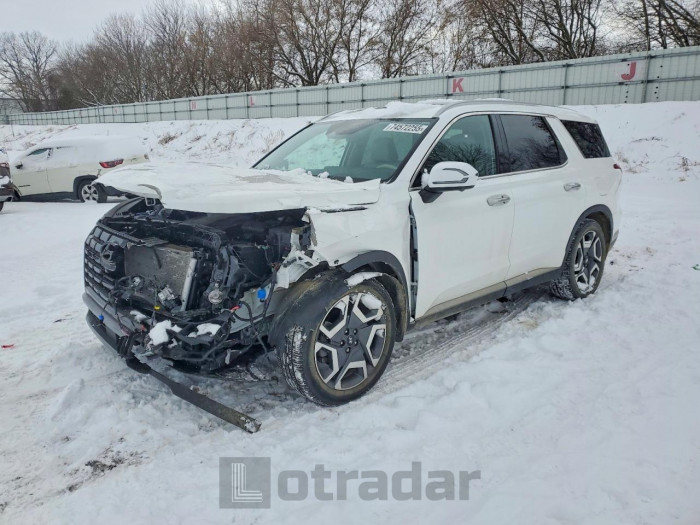 Hyundai Palisade 2024 VIN KM8R5DGE5RU668671