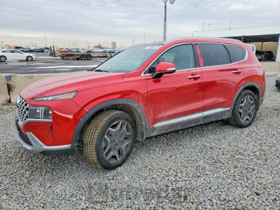Hyundai Santa fe 2023 5NMS44AL6PH545241