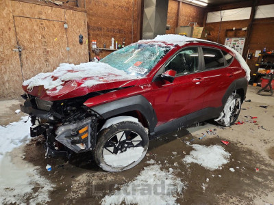 Hyundai Kona 2025 KM8HBCAB8SU300519