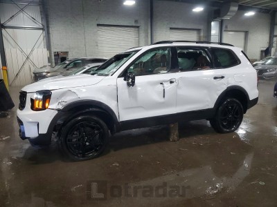 Kia Telluride 2024 VIN 5XYP5DGC0RG451427