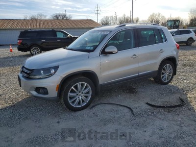 Volkswagen Tiguan 2015 VIN WVGBV7AX6FW514760