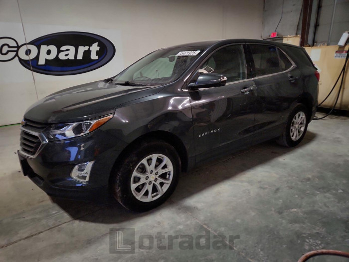 Chevrolet Equinox 2019 VIN 2GNAXUEV9K6146166