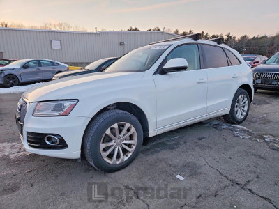 Audi Q5 2013 WA1CFAFP6DA094823