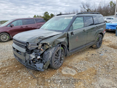 Hyundai Santa fe 2024 5NMP5DGL0RH048411