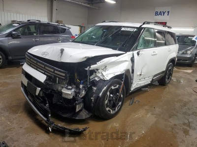 Hyundai Santa fe 2024 VIN 5NMP2DGL7RH006696
