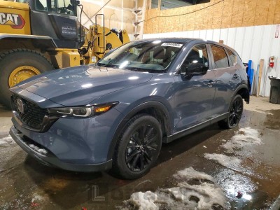 Mazda Cx-5 2025 VIN JM3KFBCM1S0789450