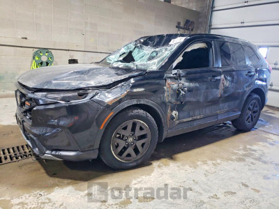 Honda Cr-v 2026 7FARS6H64TE008819