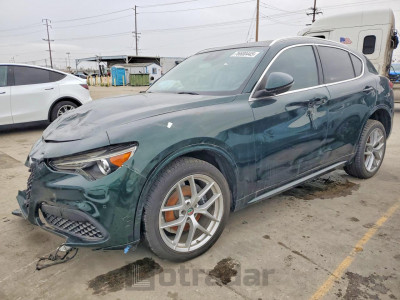 Alfa romeo Stelvio 2021 ZASPAKBN1M7D03986