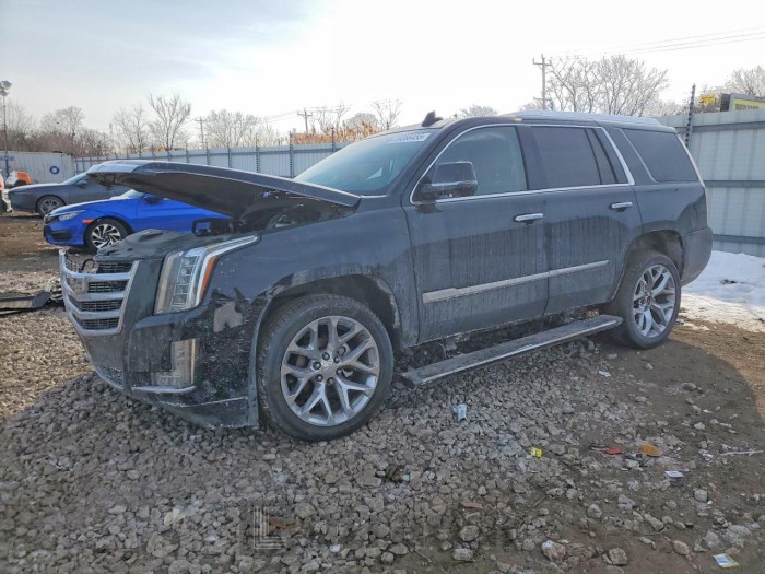 Cadillac Escalade 2016 VIN 1GYS4CKJ9GR254777
