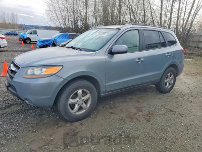 Hyundai Santa fe 2007 5NMSG13D57H082407