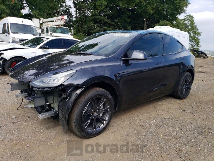 Tesla Model y 2025 VIN 7SAYGDEE0SA367575