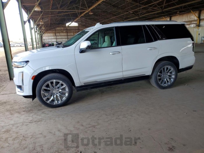 Cadillac Escalade 2021 VIN 1GYS4DKL4MR229188