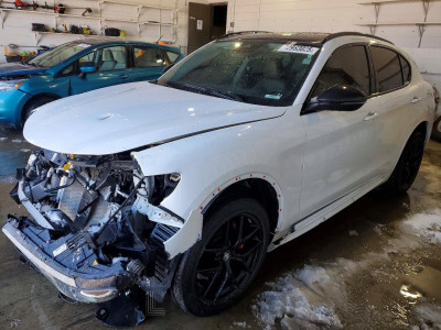 Alfa romeo Stelvio 2021 ZASPAKBN9M7D13813