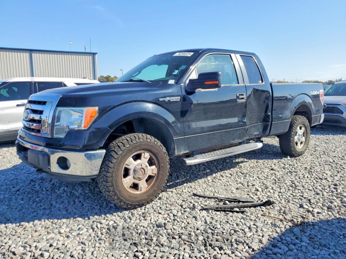 Ford F-150 2011 VIN 1FTFX1EFXBFD37221