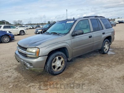 Chevrolet Trailblazer 2007 VIN 1GNDS13S172237391