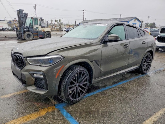 BMW X6 2020 VIN 5UXCY8C06L9D64568