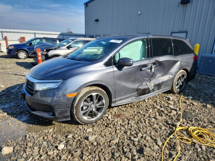 Honda Odyssey 2023 VIN 5FNRL6H95PB070206