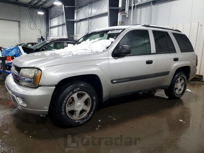 Chevrolet Trailblazer 2004 VIN 1GNDT13S542397010