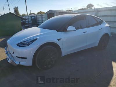 Tesla Model y 2023 7SAYGDEE0PA025437