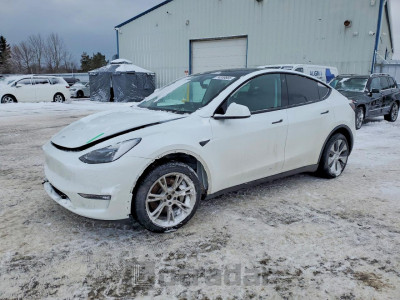 Tesla Model y 2023 LRWYGDEE0PC028669