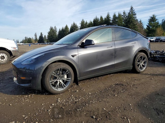 Tesla Model y 2024 VIN 7SAYGDEEXRF150600