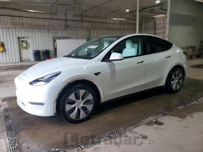 Tesla Model y 2021 5YJYGAEE8MF301812