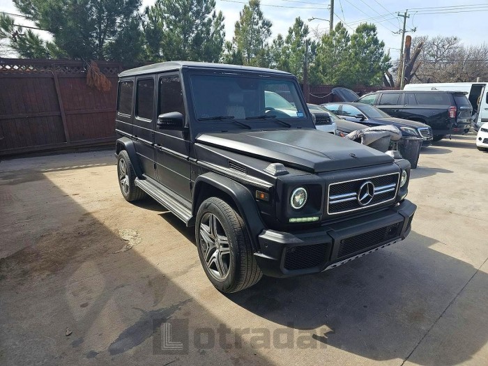 Mercedes-benz G-class 2005 VIN WDCYR49E75X163056