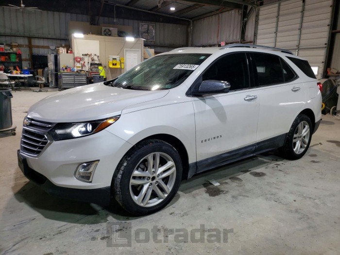Chevrolet Equinox 2019 VIN 2GNAXYEX8K6258370