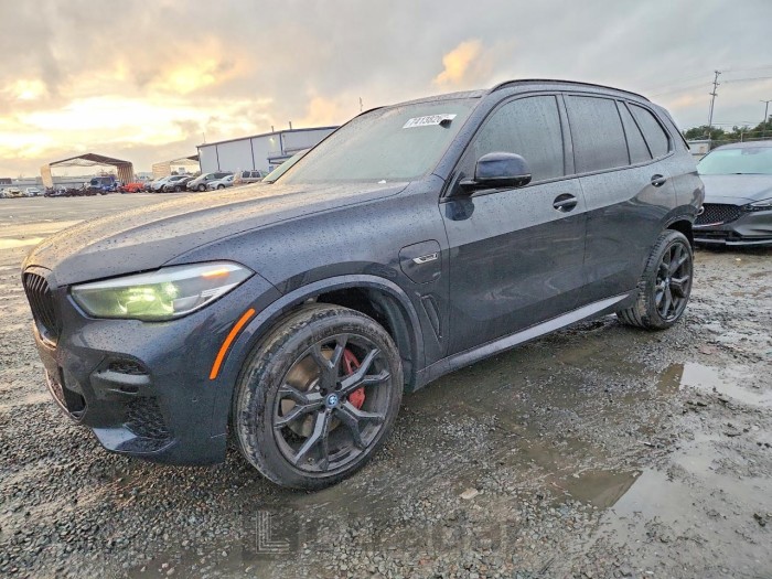 BMW X5 2023 VIN 5UXTA6C04P9P91677