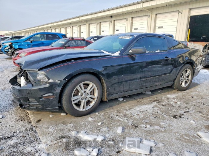 Ford Mustang 2014 VIN 1ZVBP8AM4E5282994