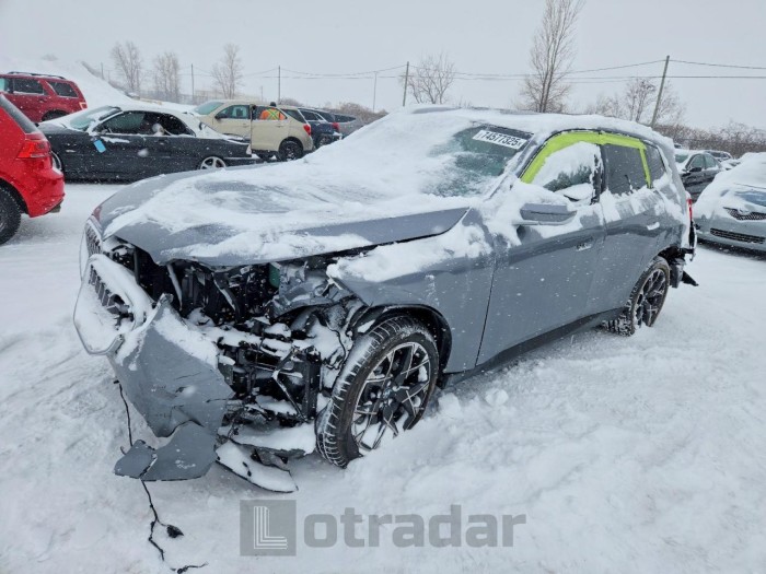 BMW X3 2025 VIN 5UX53GP02S9135098