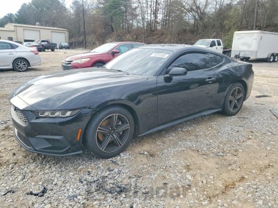 Ford Mustang 2024 1FA6P8TH3R5114666