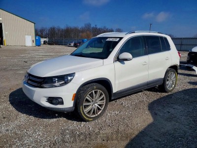 Volkswagen Tiguan 2013 WVGBV7AX7DW507636