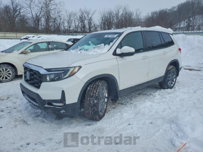 Honda Passport 2023 5FNYF8H54PB007710