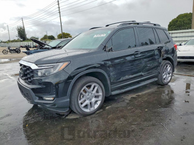 Honda Passport 2024 5FNYF8H5XRB020612