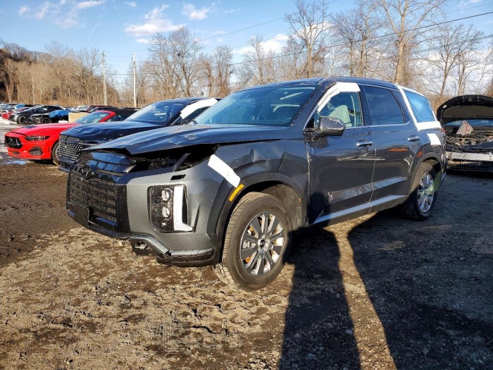 Hyundai Palisade 2025 VIN KM8R2DGE3SU898711